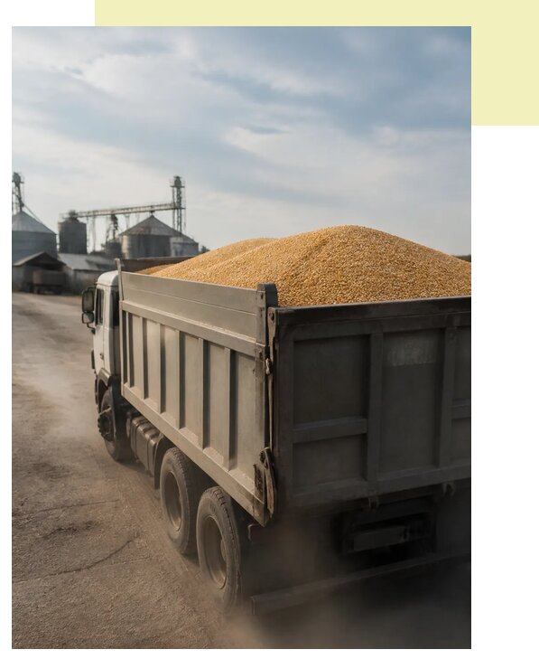 Перевозка сельхозпродукции навалом в Грозного по цене от 3078 р. | Агросервис-Грз